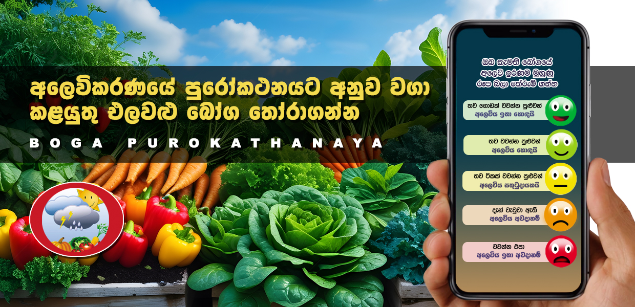 Crop Forecasting