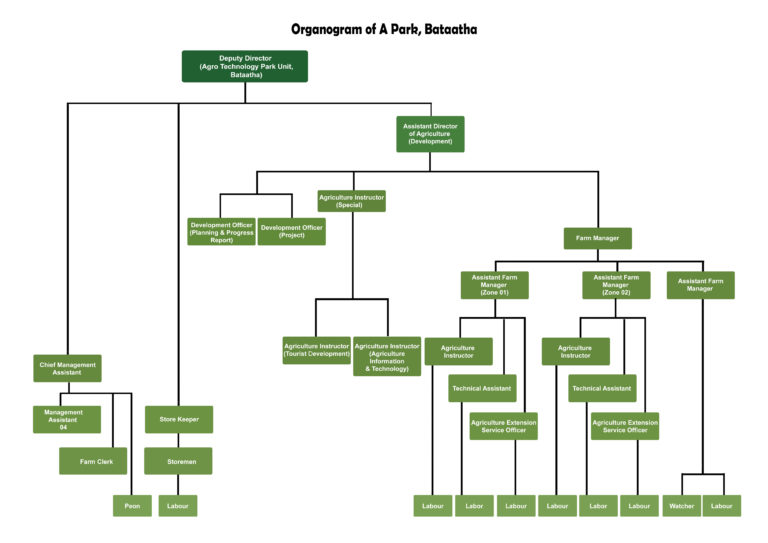 A-Park_Bataatha – Department of Agriculture Sri lanka