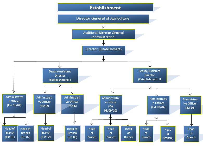 Establisment – Department of Agriculture Sri lanka