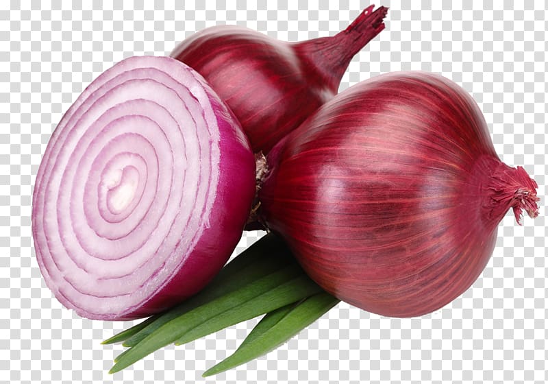 Onion recall 2023: Throw away these onions right now, FDA warns - nj.com