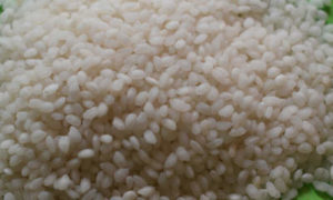RRDI_Bg745_Rice