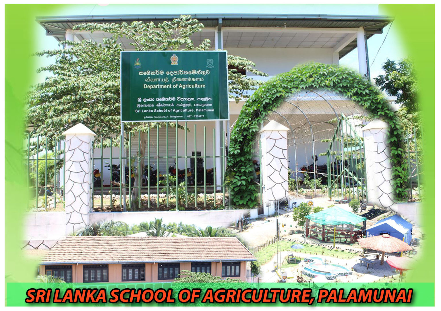 ETCagri.schoolpalamunai Department of Agriculture Sri lanka