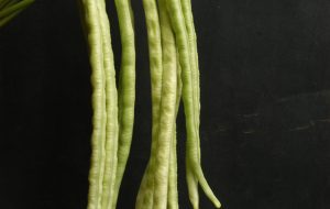 Long Beans Variety bushita (1)