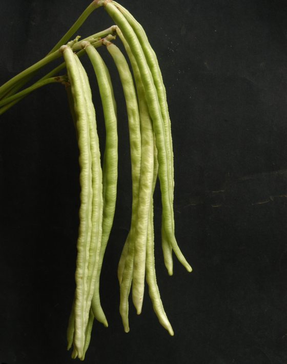 Long Beans Variety bushita (1)